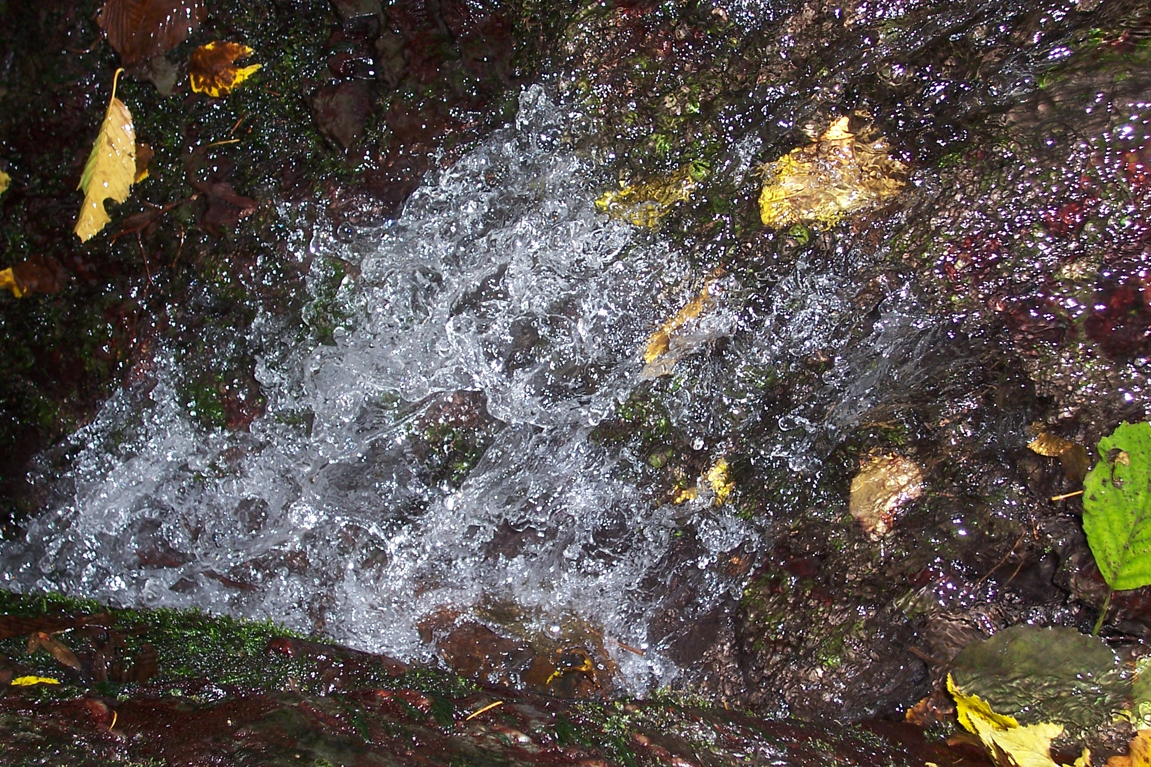 100_2994